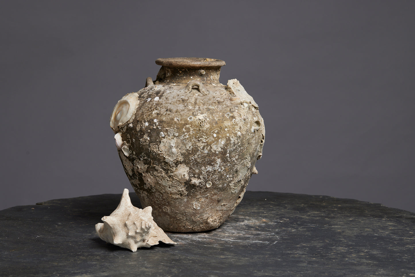 Tall Sawankhalok Pot with Spectacular Shell Encrustations