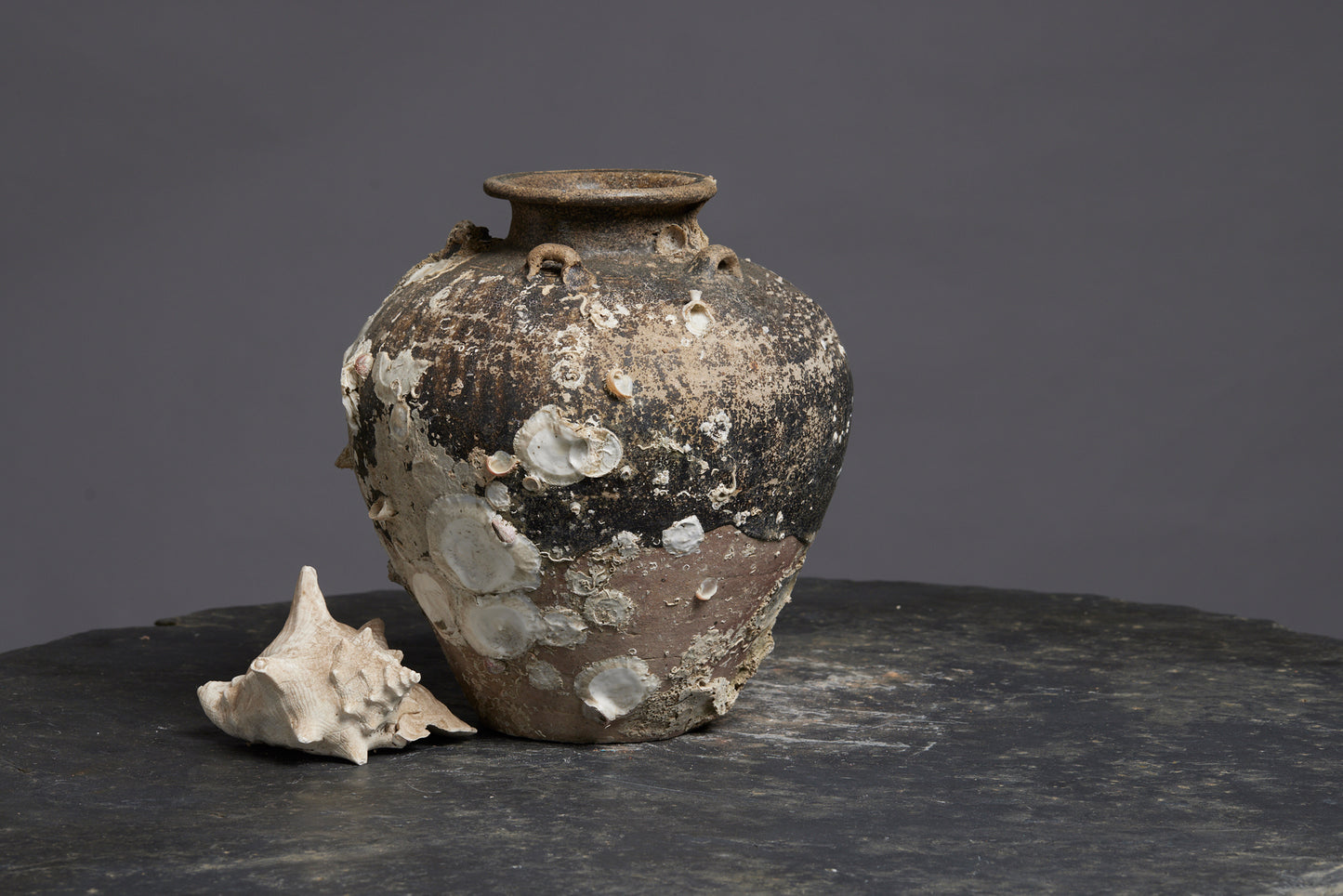 Sung Dynasty Sawankhalok Tall Shipwreck Pot from the Spice Trade