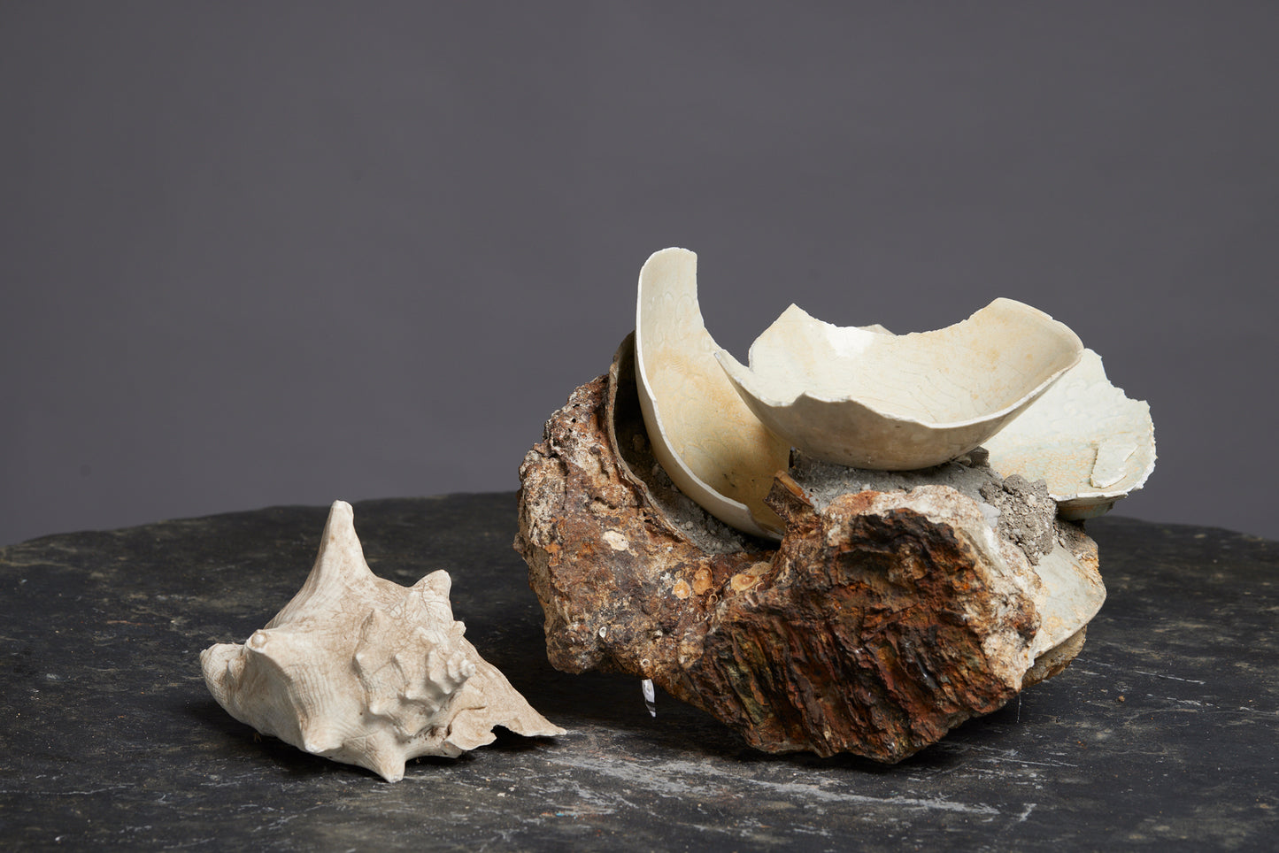 Fragments from a Sung Dynasty Bowl Adhered Together from a Shipwreck