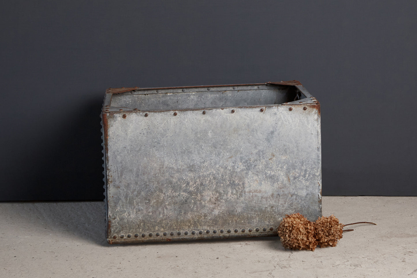 19th Century German Zinc Rectangular Planting Box