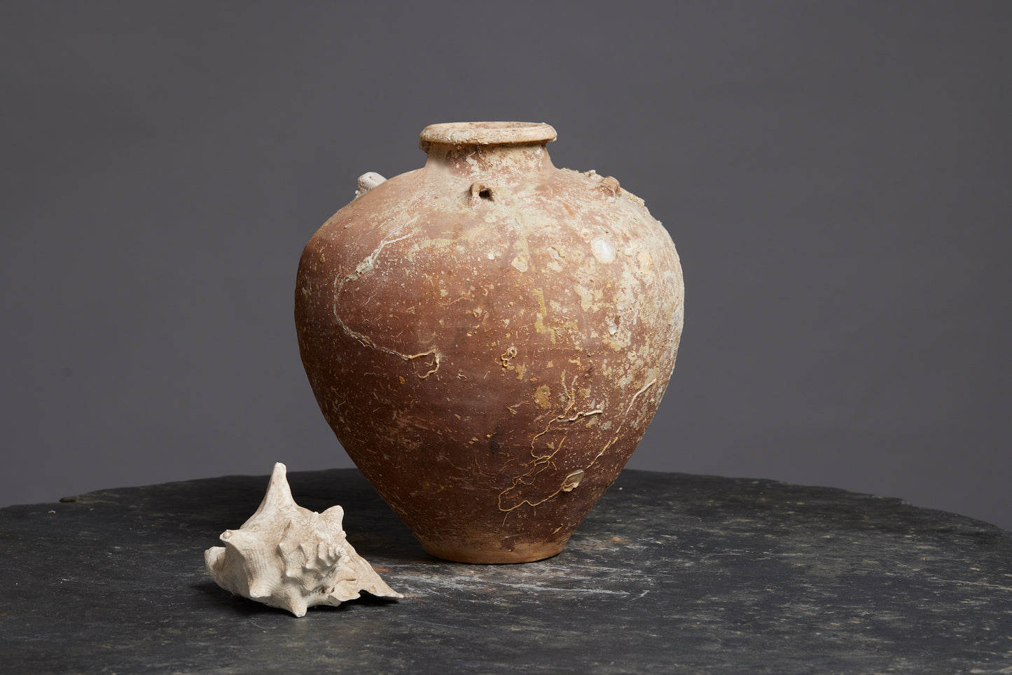 16th Cent. Ming Dynasty Shipwreck Pot from the Spice Trade