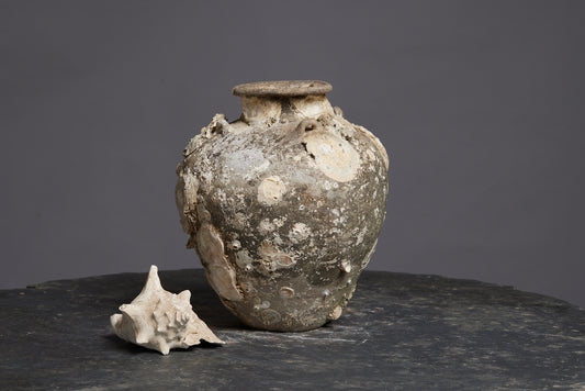Tall Sawankhalok Pot with Spectacular Shell Encrustations