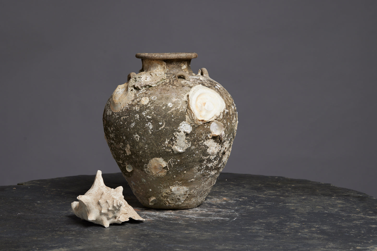 Tall Sawankhalok Pot with Spectacular Shell Encrustations