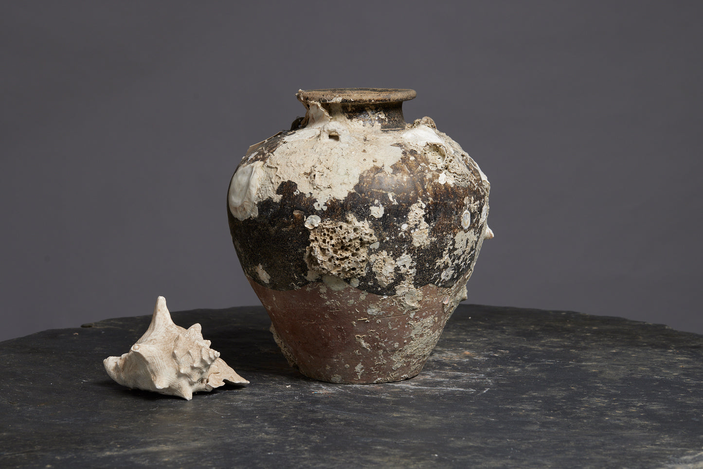 Sung Dynasty Sawankhalok Tall Shipwreck Pot from the Spice Trade