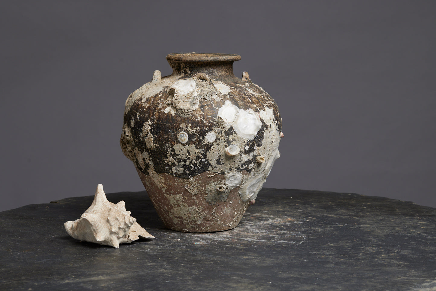 Sung Dynasty Sawankhalok Tall Shipwreck Pot from the Spice Trade