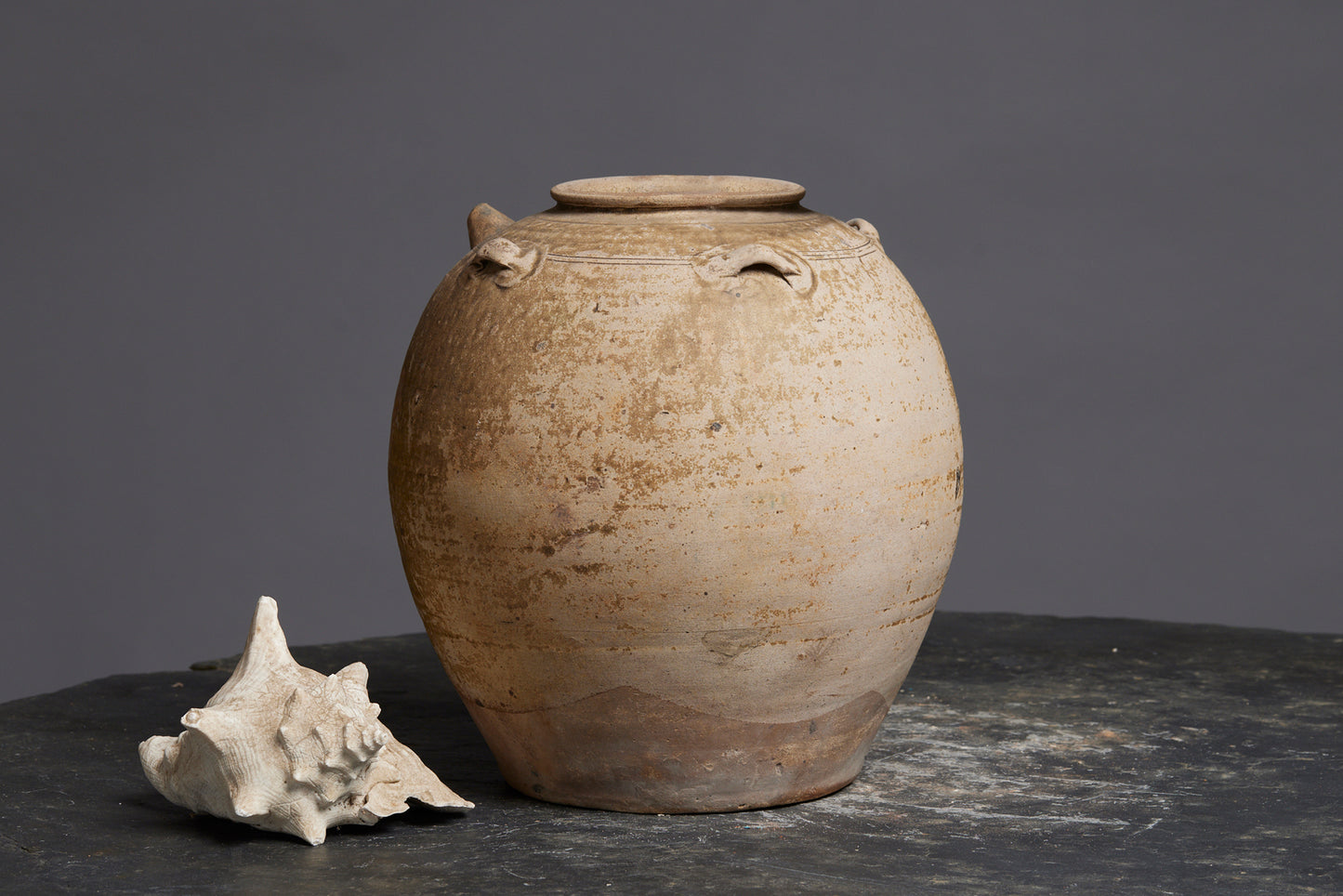 Large Yue Ware Pot with a Light Speckled Glaze Discovered off the Coast of Sumatra