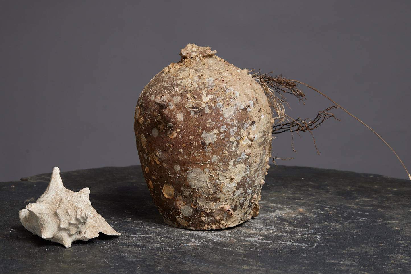 Sung Dynasty Shipwreck Water Pot with Applied Spout