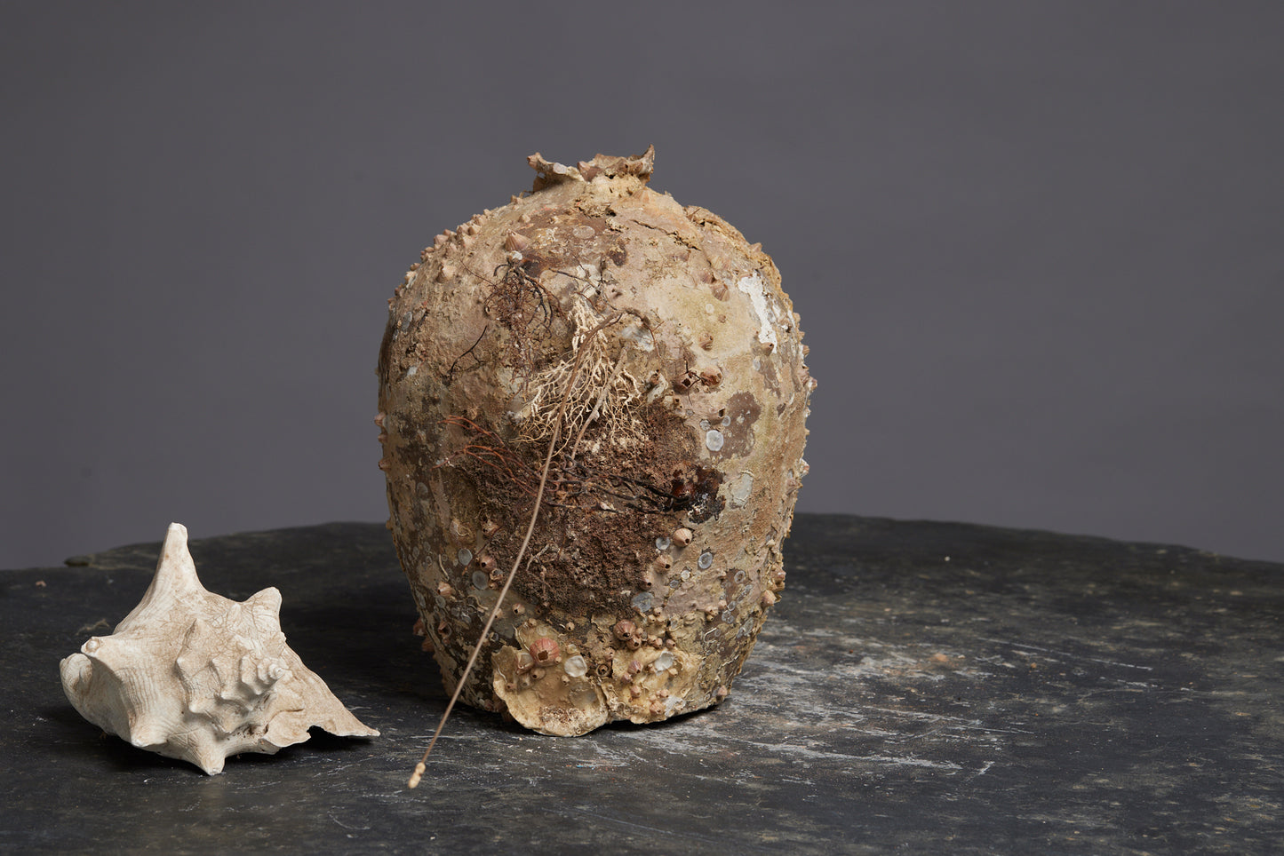Sung Dynasty Shipwreck Water Pot with Applied Spout