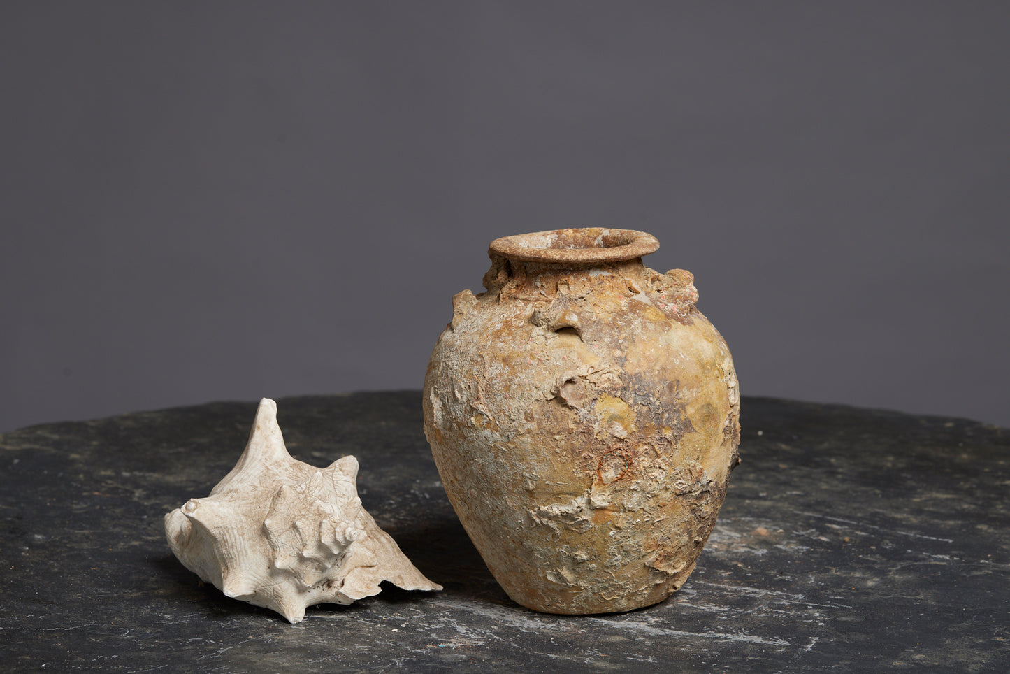 White Sung Pot from a Shipwreck