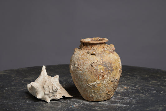 White Sung Pot from a Shipwreck