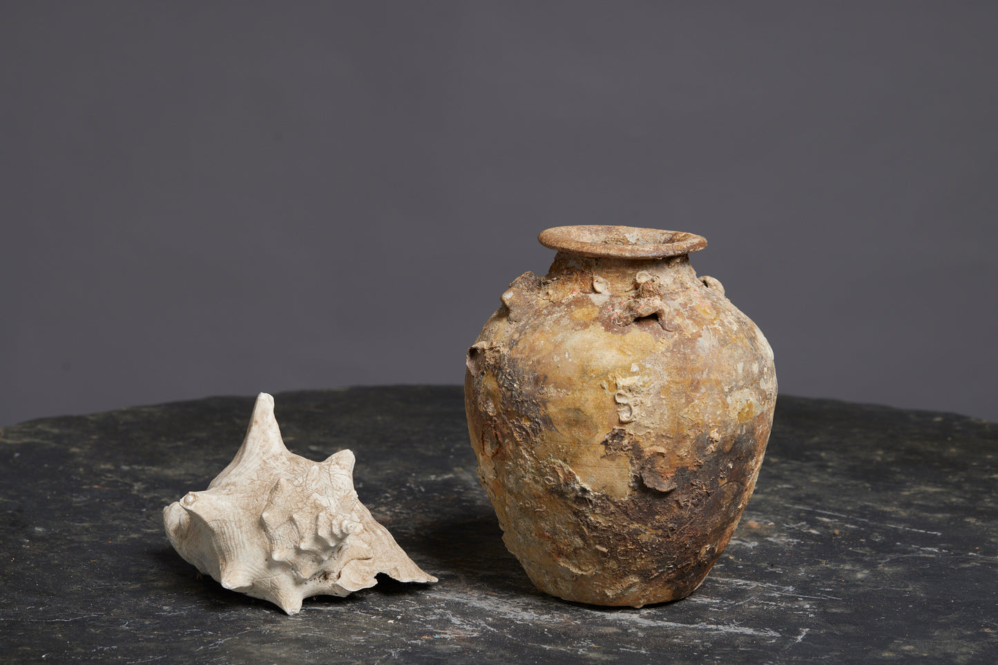 White Sung Pot from a Shipwreck