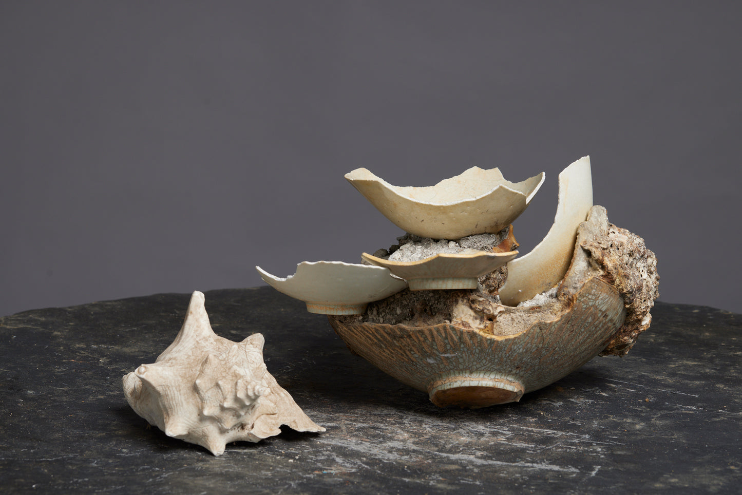 Fragments from a Sung Dynasty Bowl Adhered Together from a Shipwreck