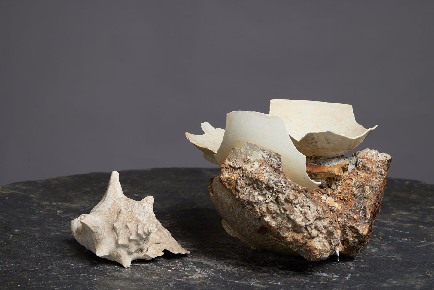 Fragments from a Sung Dynasty Bowl Adhered Together from a Shipwreck