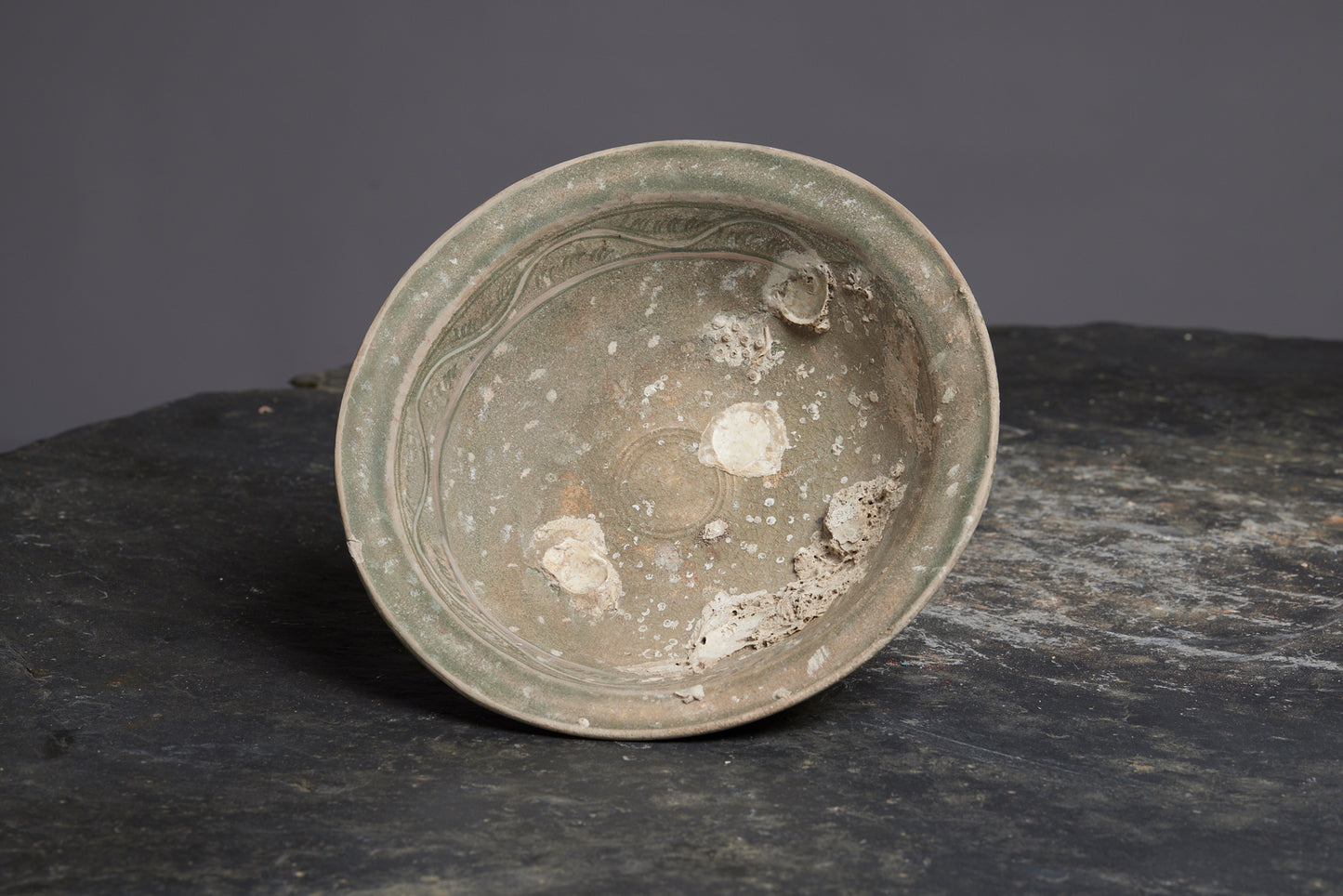 Large Celadon Shipwreck Bowl with Beautiful Incised Decorations and Shell Encrustations