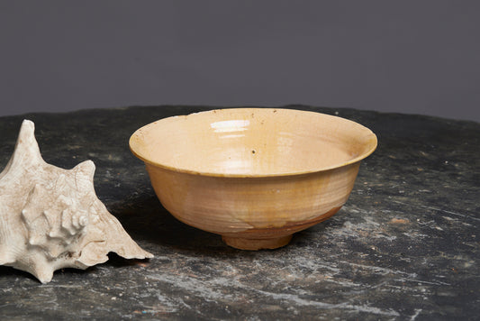 Large Yellow and Green Glaze Tang Dynasty Serving Bowl