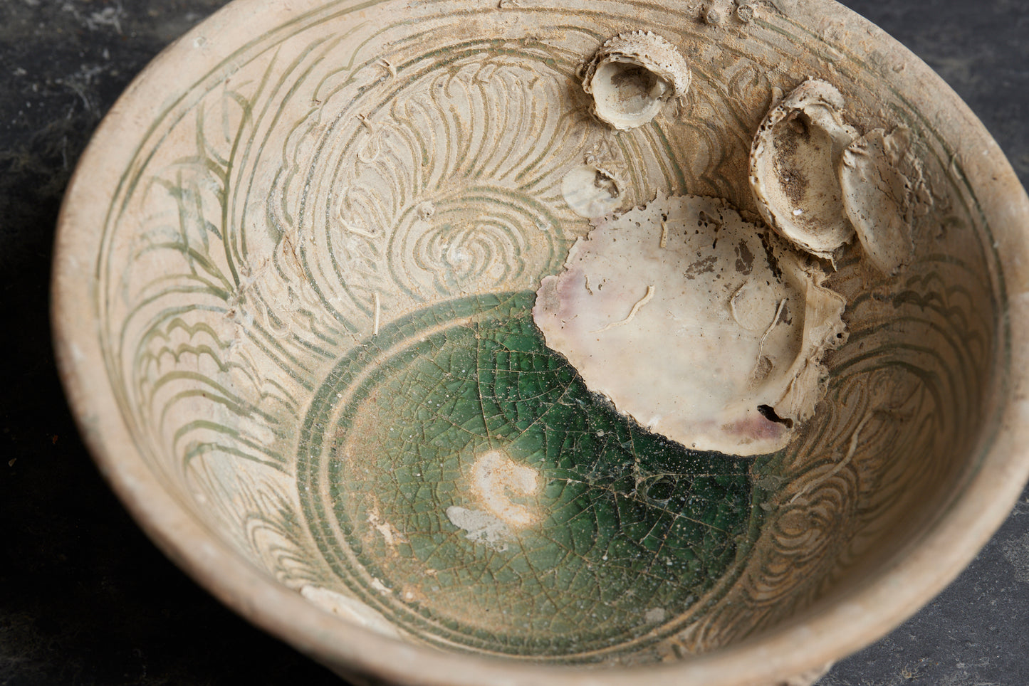 Large Celadon Shipwreck Bowl with Oysters and Incised Decoration and Gadrooned Exterior