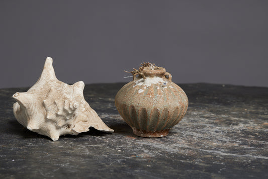 Small Sawankhalok Celadon Coconut Shape Bottle with Coral Still Attached