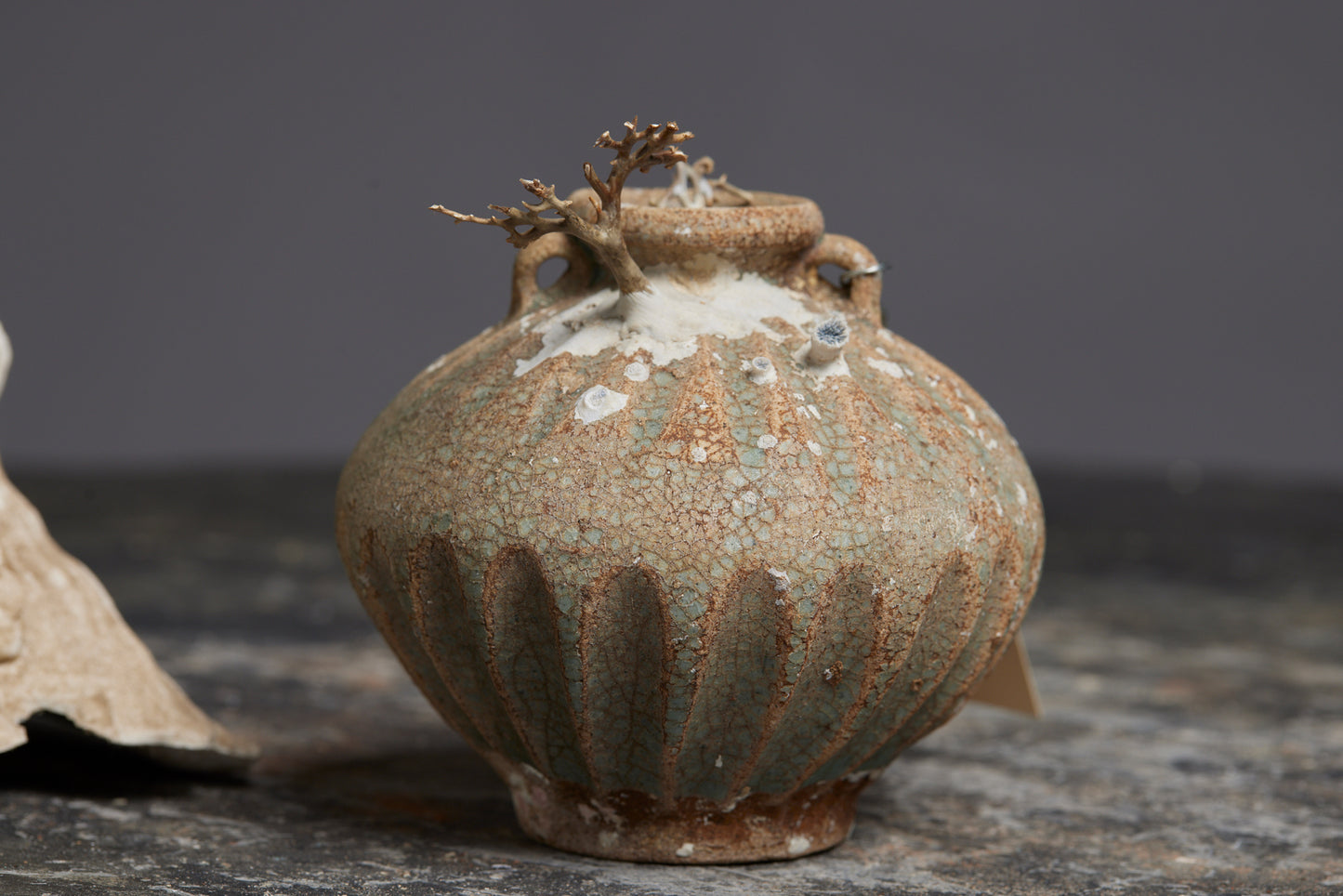 Small Sawankhalok Celadon Coconut Shape Bottle with Coral Still Attached