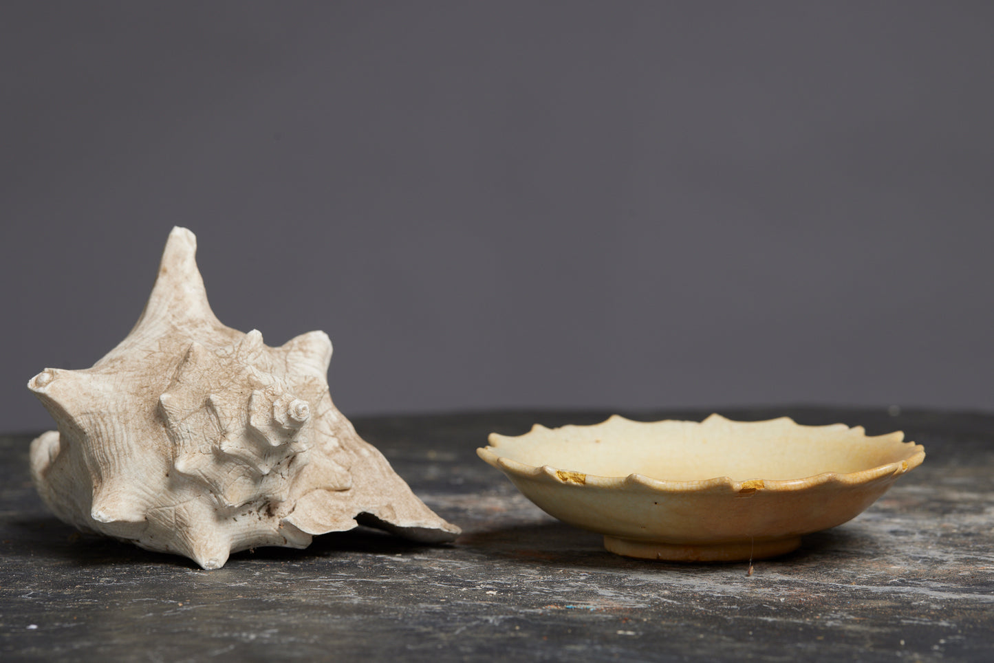 Flower Shaped White Sung Plate from the Musi River
