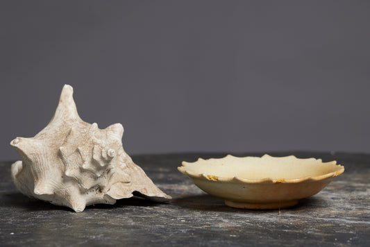 Flower Shaped White Sung Plate from the Musi River