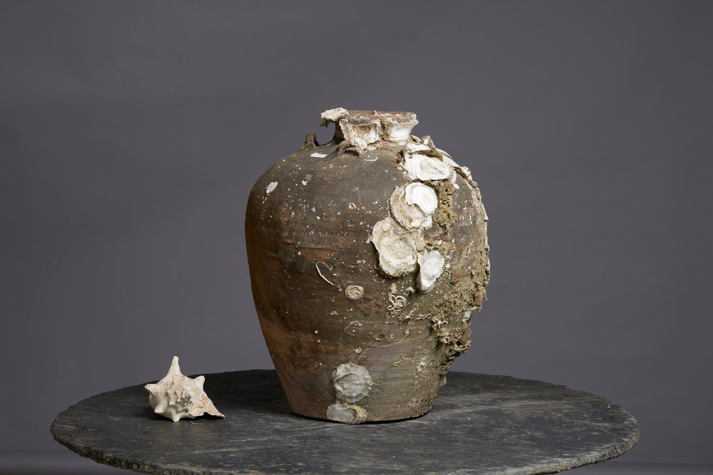 Very Large Shell Encrusted Sawankhalok Shipwreck Pot found off the Coast of Sumatra