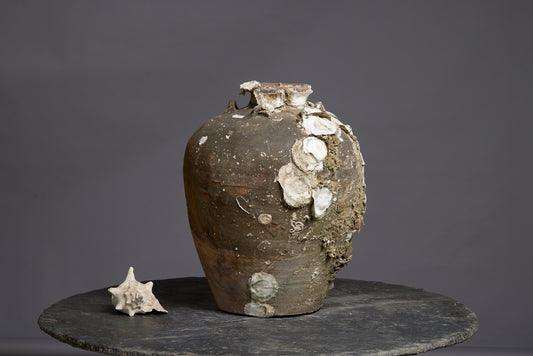 Very Large Shell Encrusted Sawankhalok Shipwreck Pot found off the Coast of Sumatra