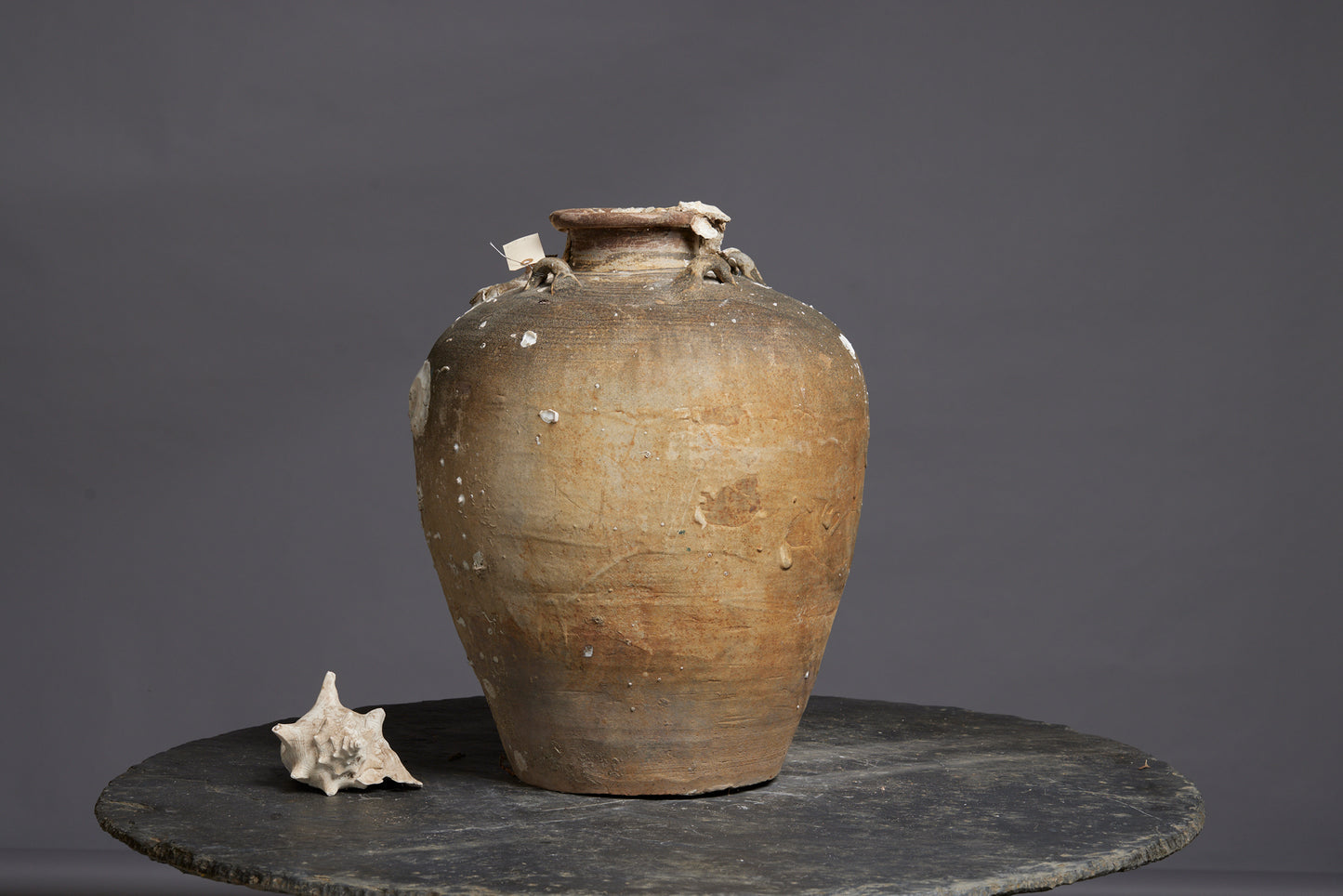 Very Large Shell Encrusted Sawankhalok Shipwreck Pot found off the Coast of Sumatra