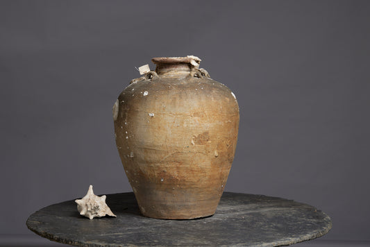 Very Large Shell Encrusted Sawankhalok Shipwreck Pot found off the Coast of Sumatra