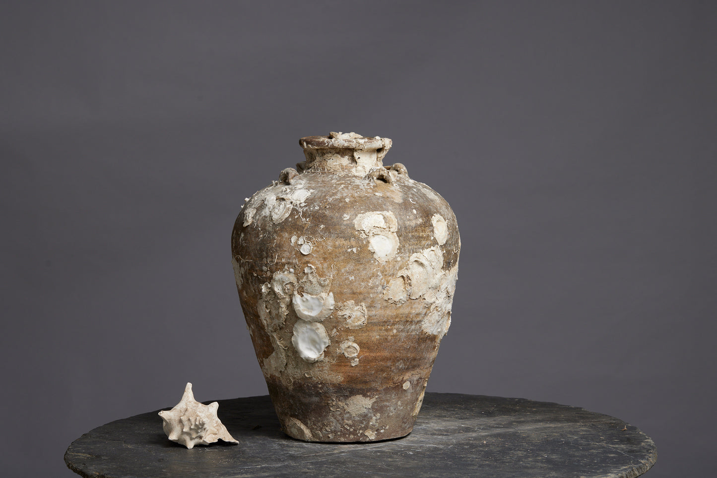 Very Large Shell Encrusted Sawankhalok Shipwreck Pot found off the Coast of Sumatra