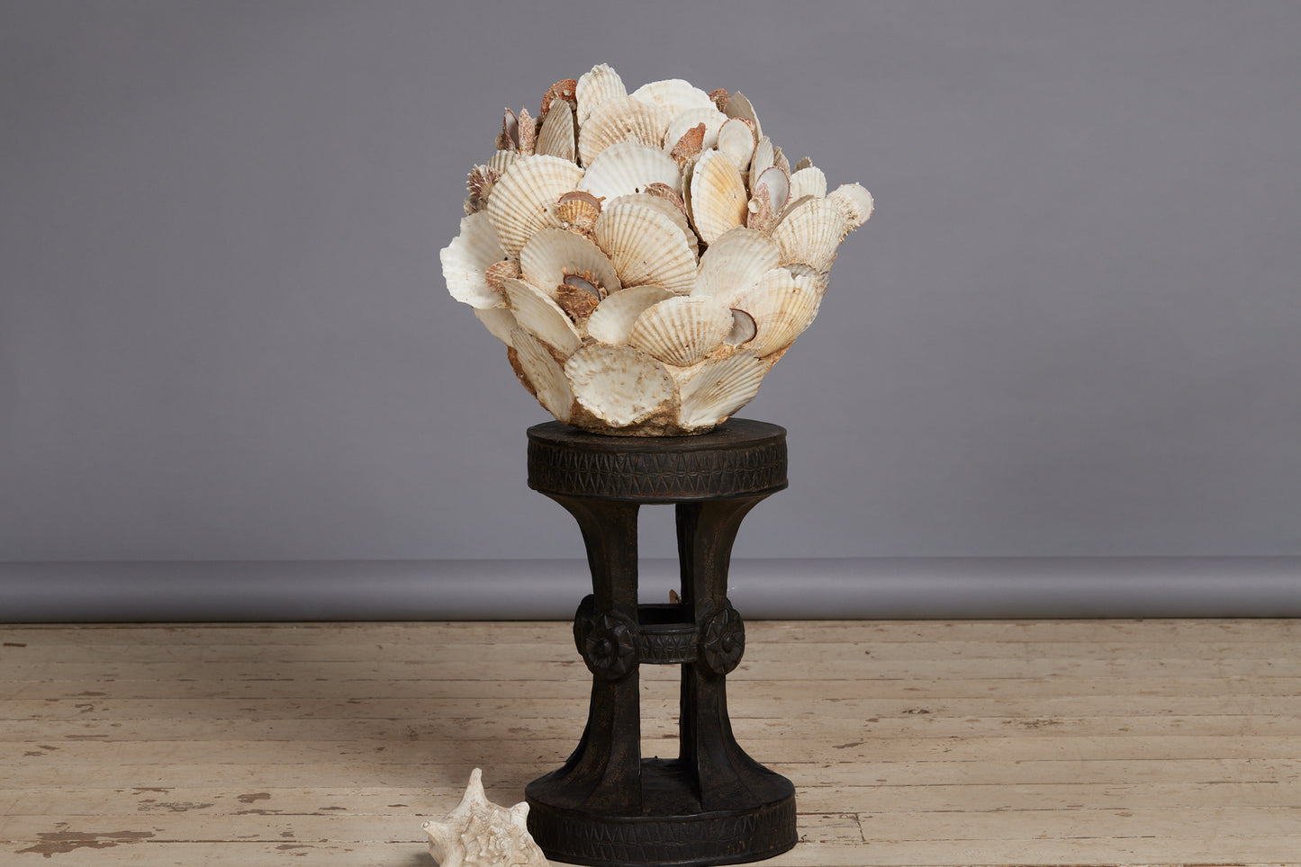 Large Scallop Encrusted Vessel