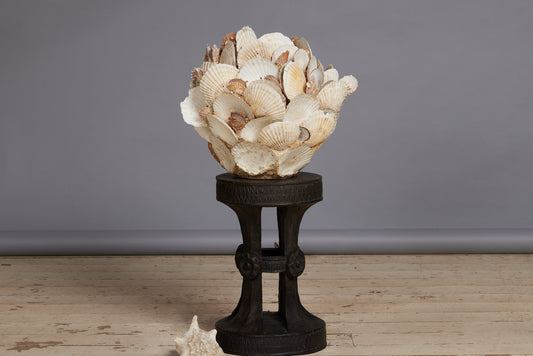 Large Scallop Encrusted Vessel