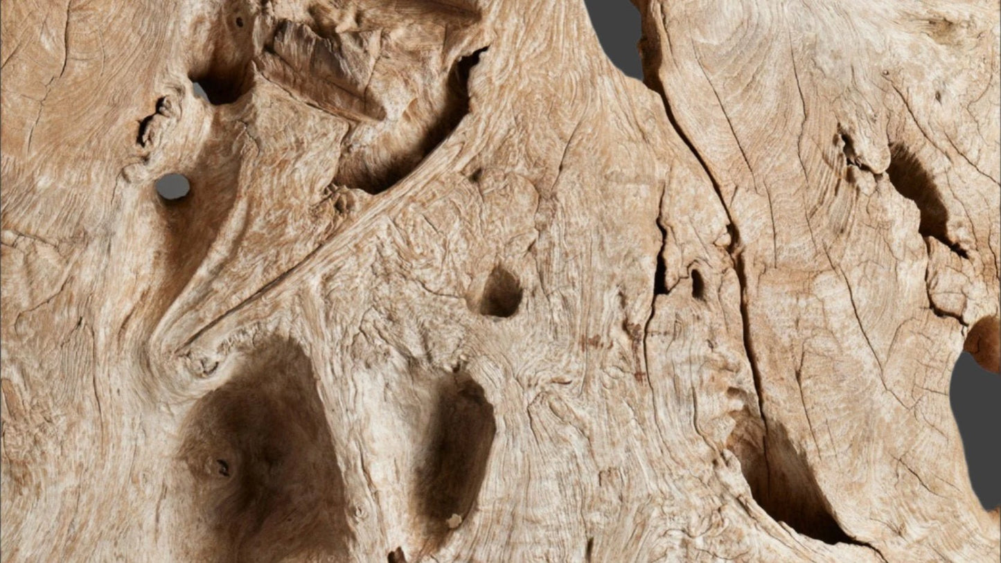 19th Century Ancient Teak Root from a Monastery in East Java