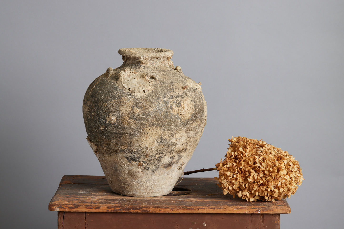 Tsung Dynasty Brown & White Shipwreck Storage Jar with Oyster Encrustations