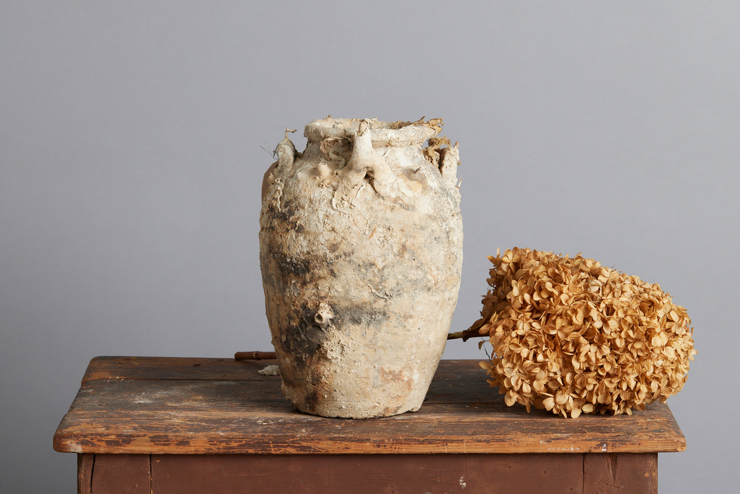 Narrow Tsung Dynasty Brown & White Shipwreck Storage Jar with Shell Encrustations