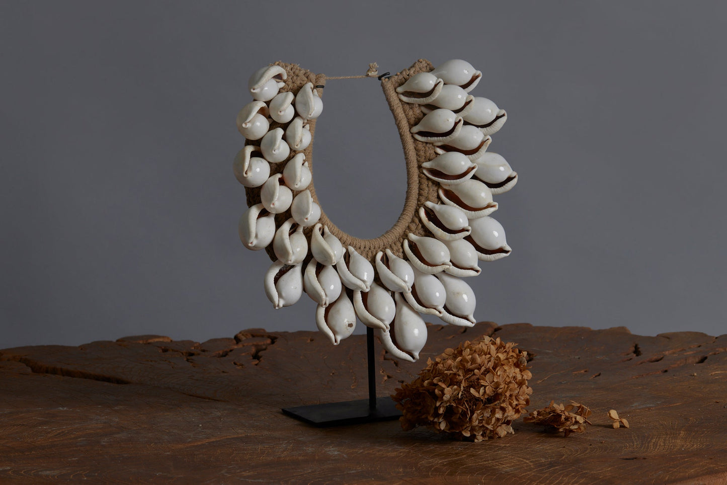 White Cowrie Shell Ceremonial Necklace from Papua New Guinea