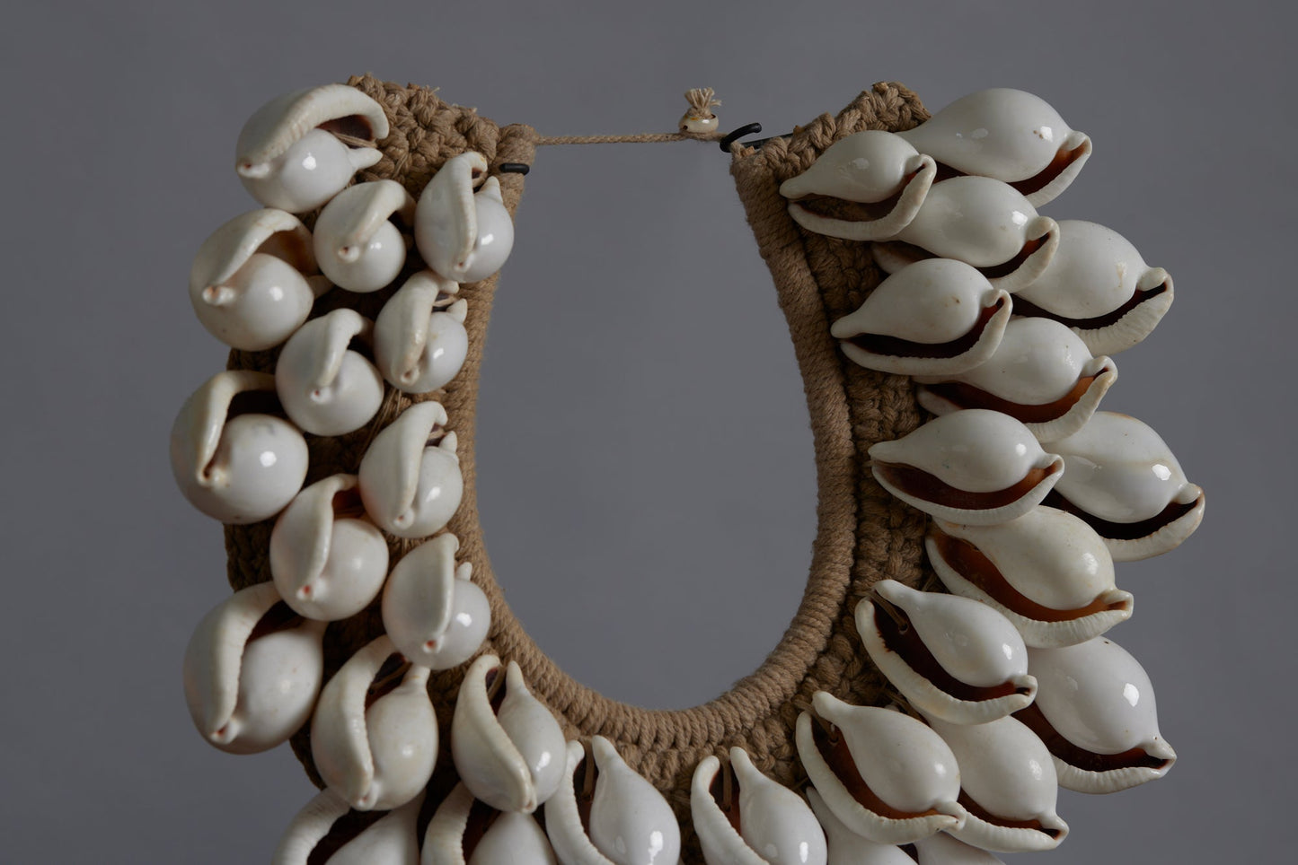White Cowrie Shell Ceremonial Necklace from Papua New Guinea