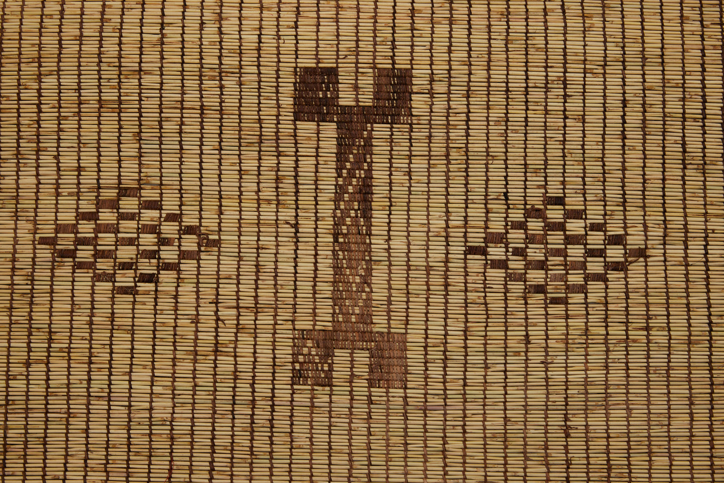 Large Blonde Colored Tuareg Carpet with Central Motifs of Bones Flanked by Checkered Diamonds (8'9" x 15'6")