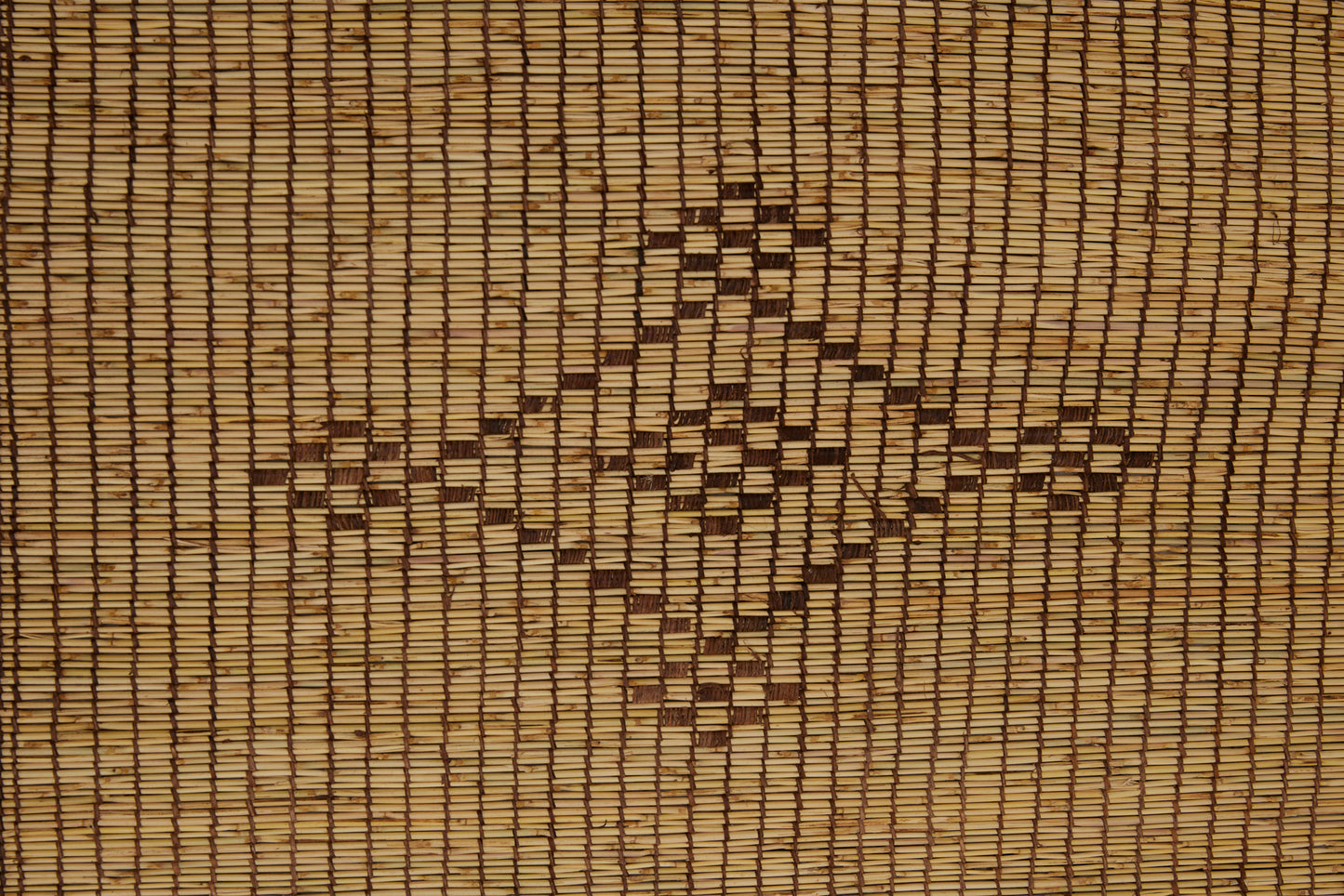 Large Blonde Colored Tuareg Carpet with Central Motifs of Bones Flanked by Checkered Diamonds (8'9" x 15'6")