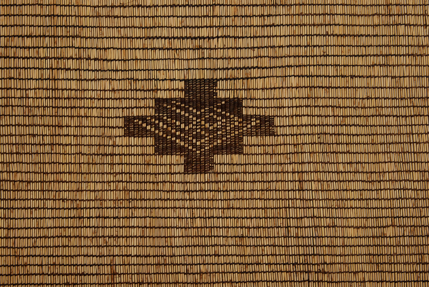 Large Light Colored Tuareg Carpet with 4 Sections Separated by 3 Decorative Bands...........(7'9" x 15'5")