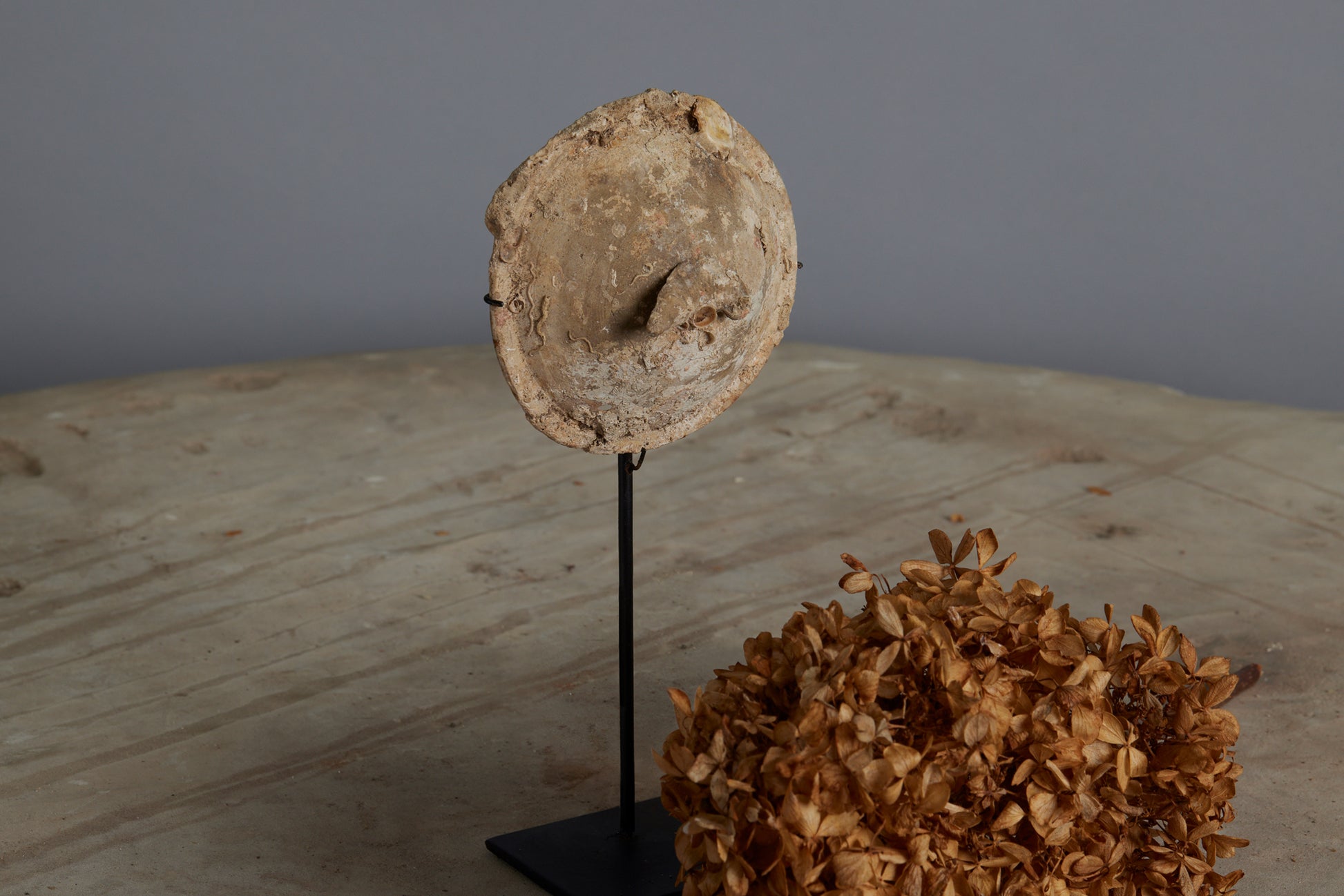 sung-dynasty-lid