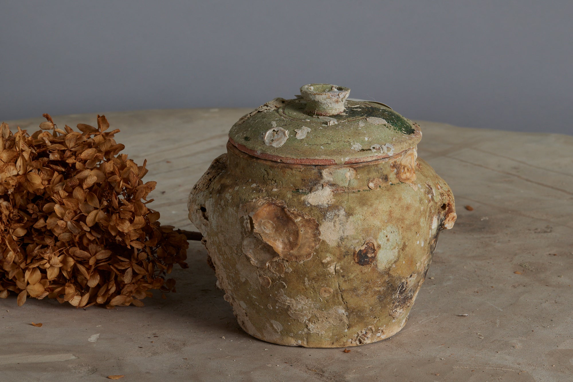 Shipwreck Pottery – Michael Trapp, Inc.