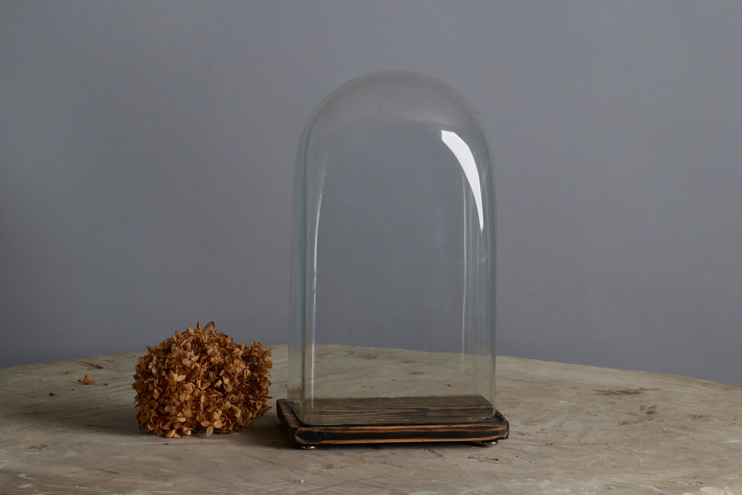 Mid 19th Century Arch Top Rectangular Base Blown Glass French Dome