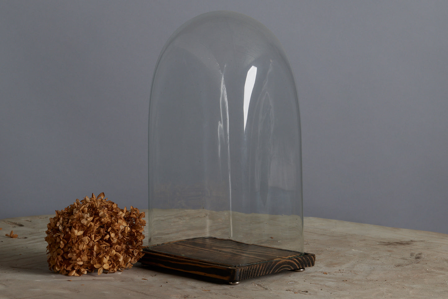 Mid 19th Century Arch Top Rectangular Base Blown Glass French Dome