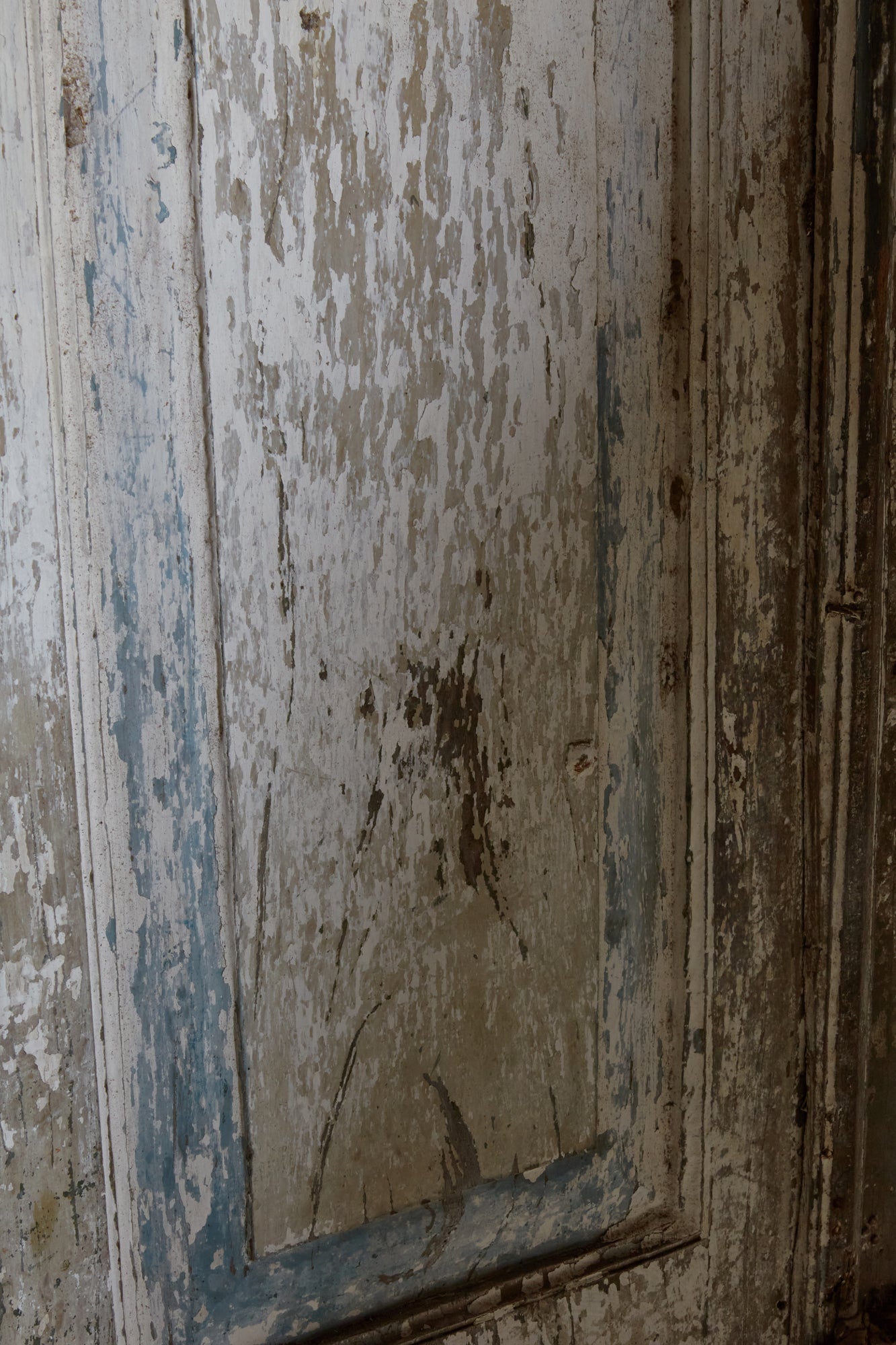 A Pair of 18th Century Dutch Colonial Cupboard Doors from Jakarta