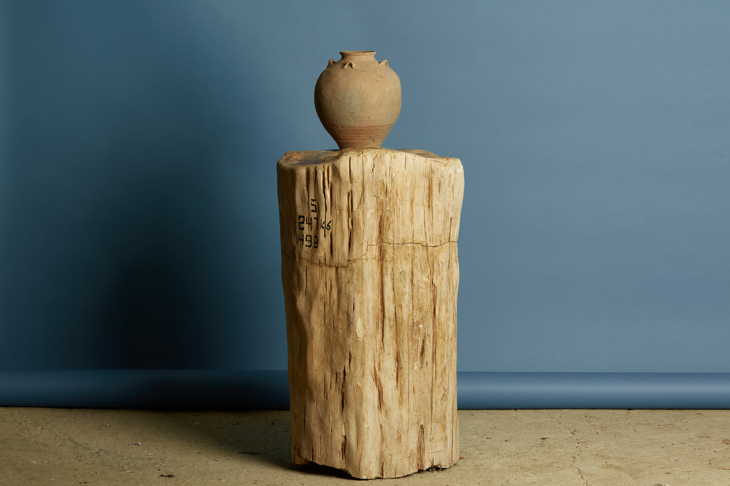 petrified-log