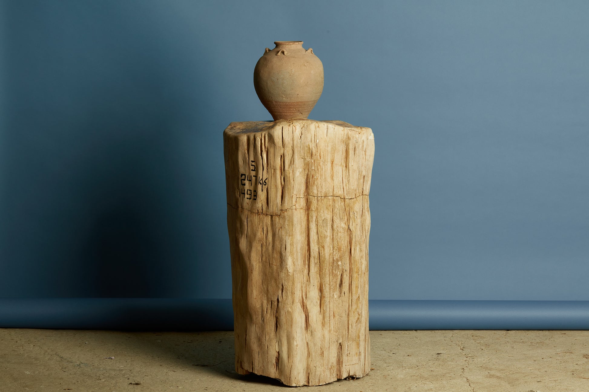 petrified-log