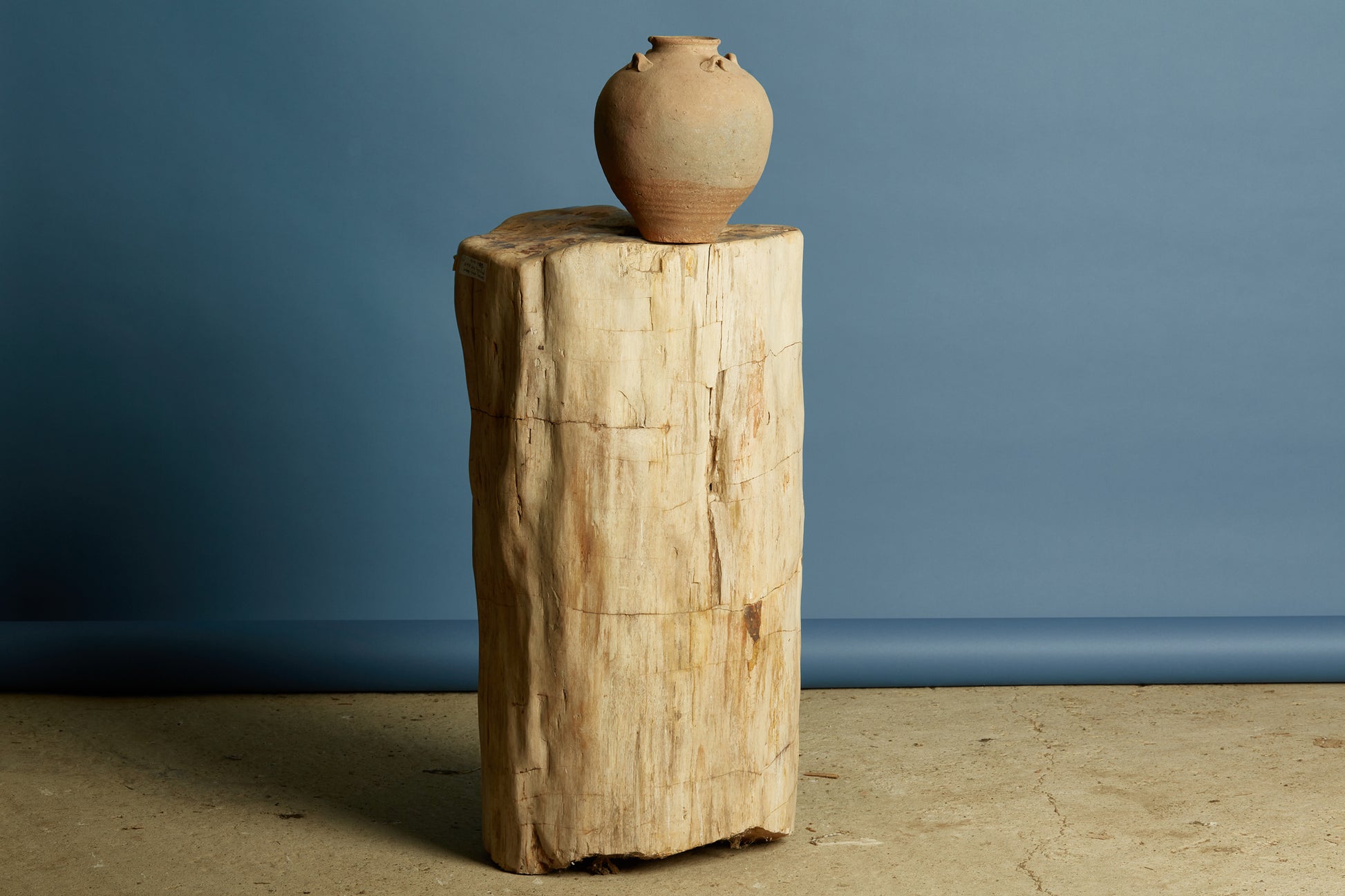 petrified-log