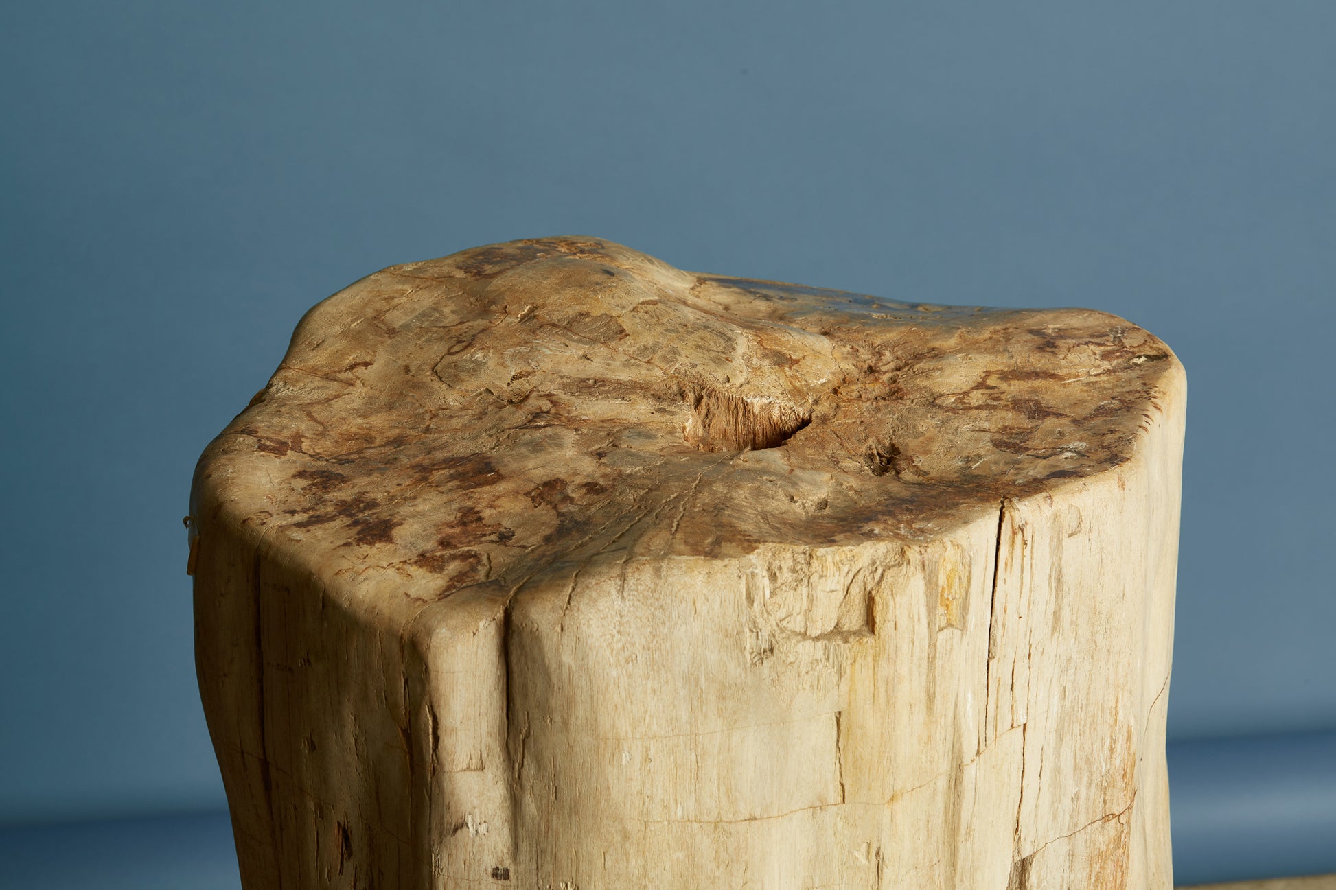 petrified-log