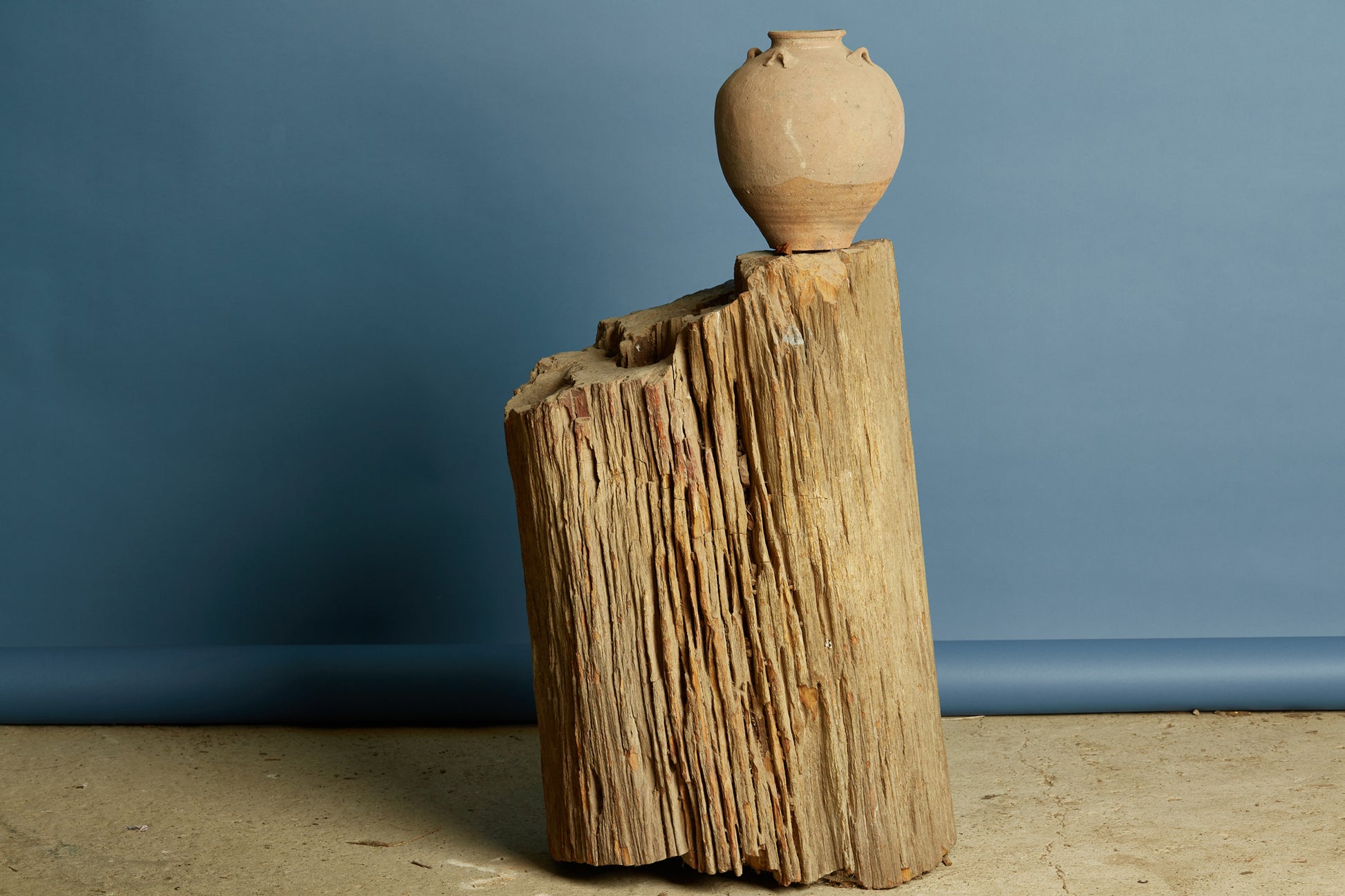 petrified-log