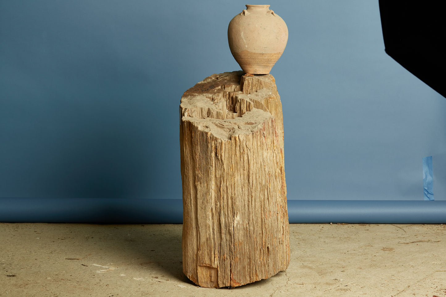 petrified-log